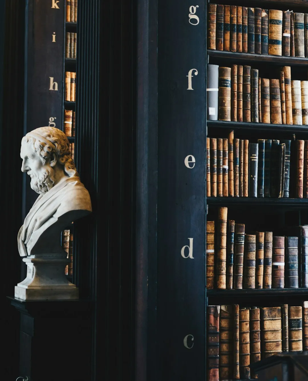 Biblioteca con busto clásico