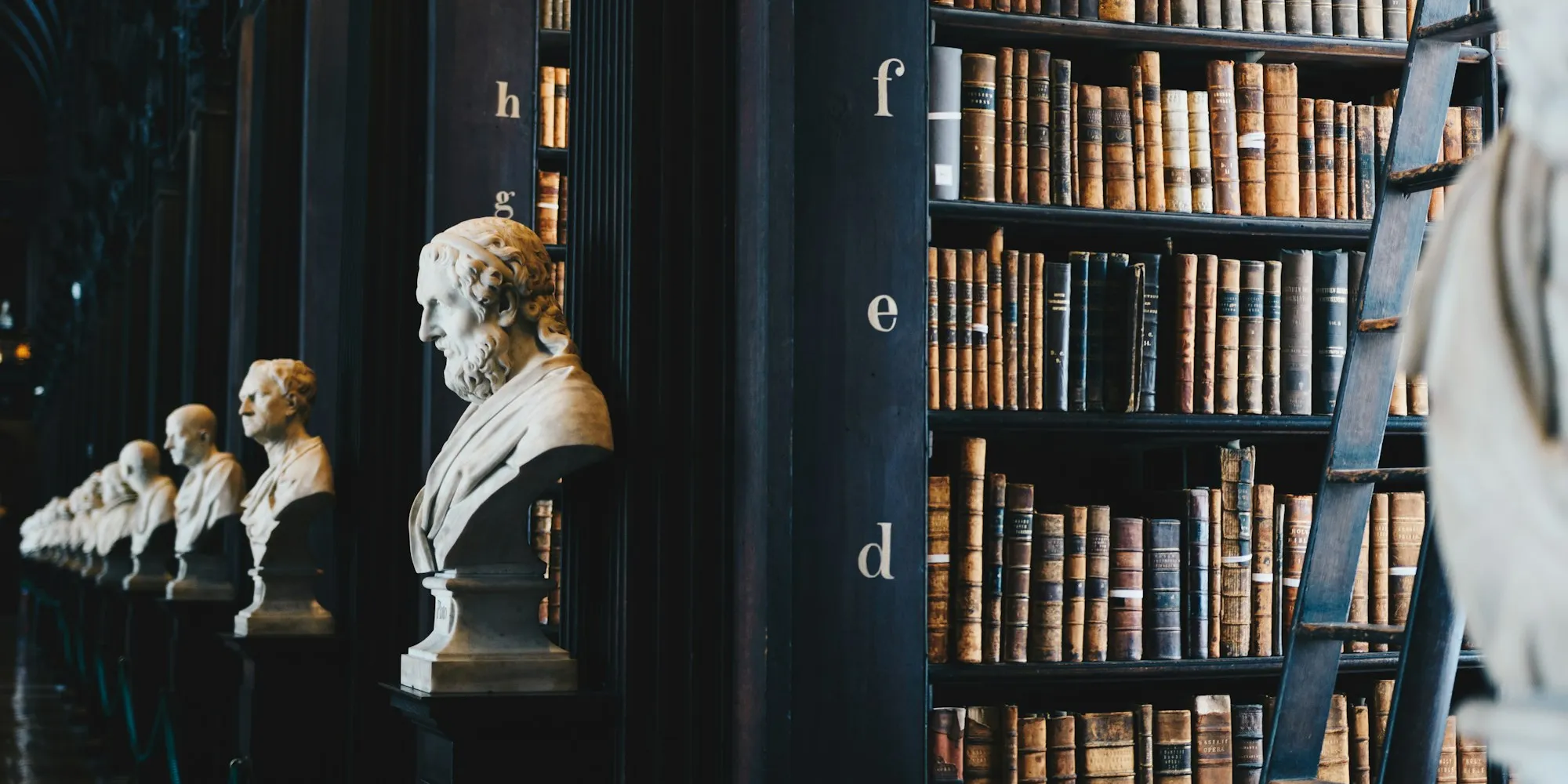 Biblioteca con busto clásico
